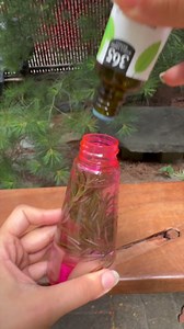 Easy DIY Bug Spray That Actually Works!