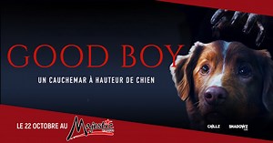 Un chien et une maison hantée; vivez un cauchemar à hauteur de chien 🐶. 🎞️ 𝐆𝐎𝐎𝐃 𝐁𝐎𝐘 actuellement au Cinéma Majestic tahiti. #GoodBoylefilm #Frissons #Horreur #horrormovie #halloweenmovie #ChillzHorreur #ChadowzFilms #nouveautédelasemaine #TousAuCiné2025 #cinemaMajesticTahiti #MajesticpourceuxquiMmecinema #cinemaTahiti | Cinéma Majestic tahiti