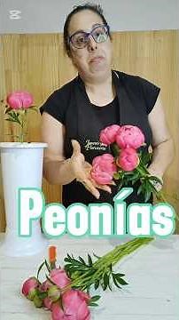 PEONÍAS, lo que no te han contado y deberías saber.