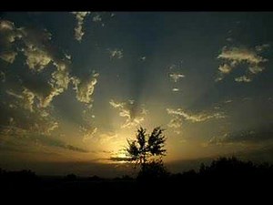 The Twilight Singers - The Twilite Kid