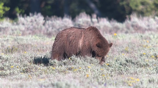 18K views · 908 reactions | We thought about a bigger year end production, but we thought that we would just show you some of our favorite clips of 399 and Rowdy from 2024.... | Team 399 | Facebook