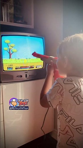 Duck Hunt on the Nintendo (NES) is pure nostalgia!