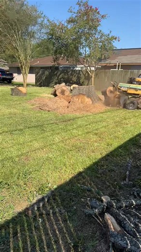 Stump grinding 💪🏽 | JL Tree Service