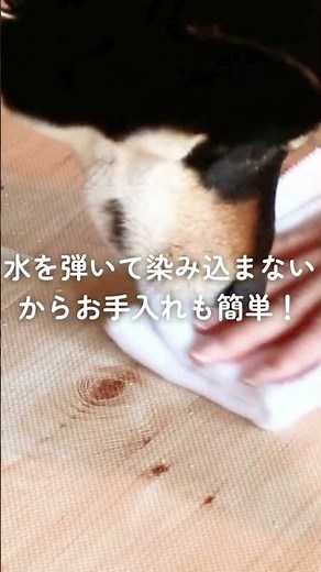 I made the floor non-slip for my pet! Pet non-slip mat insf #Interior #Dog #NonSlip #LifeHack #Fl...