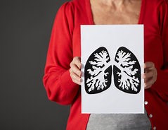 Lage der Organe im Körper - Wissenswertes zur menschlichen Anatomie