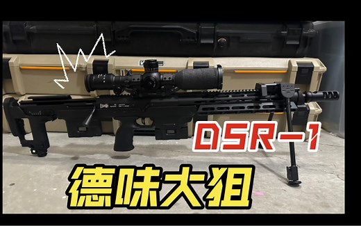【DSR】 DSR-1 德国精工 极致做工的狙击步枪