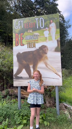 Jumping With Ivy | The ONLY place in the UK where Monkey’s can join you on your walk in @trentham_monkeyforest 😱🐒 And guess what… ELEVEN babies have just... | Instagram