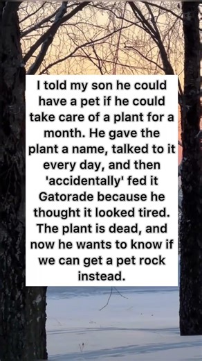 🎬 Why we can't have a pet 🪴 #parentingfail #funnykids #shorts