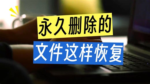 【数据恢复】shift delete删除的文件如何恢复？简单几步，新手也能搞定