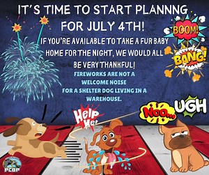 According to Pet Amber Alert, more pets go missing on or around the Fourth of July than any other time of year, and noisy fireworks are to blame. In fact, the country sees a 30-60% increase in lost pets each year between July 4th and 6th. #polkcountybullyproject #thebullyproject #doggiedayout #pcbpfamily Sign Up for July 4th DDO; https://www.signupgenius.com/go/10c0c4dabae2ea0f8c70-dogs?useFullSite=true#/ | Polk County Bully Project