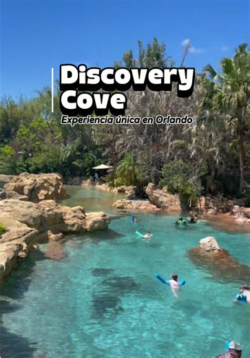 Discovery Cove: Paraíso con Delfines en Orlando