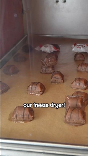 Freeze Dried Kinder Bueno Surprised Me