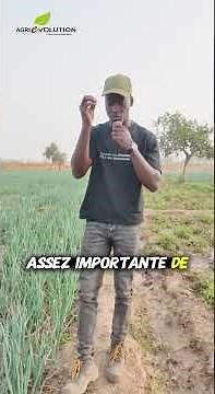 Comment transformer un sol sableux en terre productive