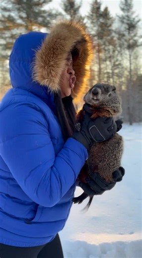 Strangle the groundhog!! #6moreweeksofwinter #groundhogday | groundhog