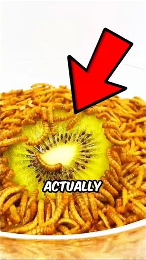 Mealworm Under Microscope 🪱🔬