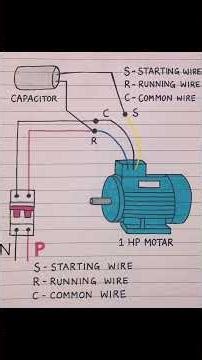 Single Phase Induction Motors | Direction of Rotation Reversal #electrical #single phasemotor