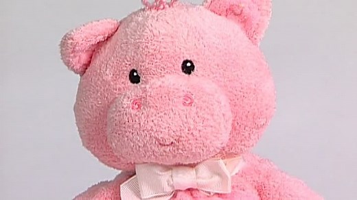 Baby Einstein - Baby Mozart (2008 DVD)