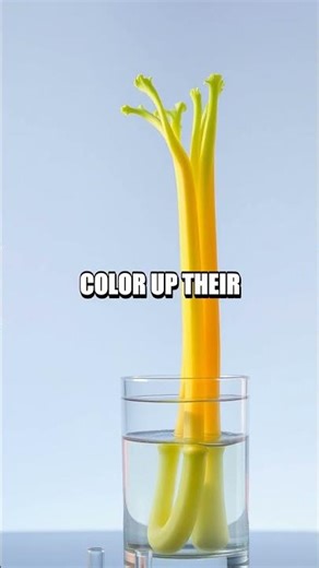 Safe Science Mini Tour at Home