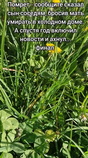 Помрет - сообщите сказал сын соседям, бросив мать умирать в холодном доме. А спустя год включил новости и ахнул.. финал #историиизжизни #Würzburg