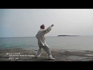 Tai Chi 26 Form 楊式太極拳26式 (背面+招式) - Artis Chan