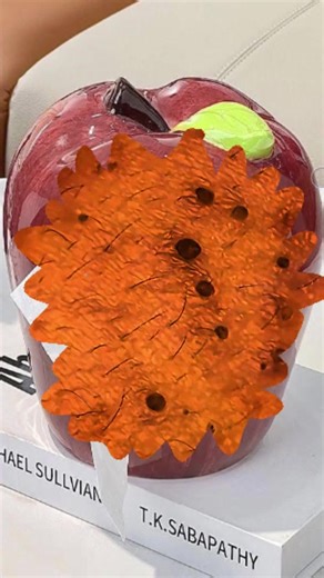 Satisfying Pimple Squeeze Video for Relaxation