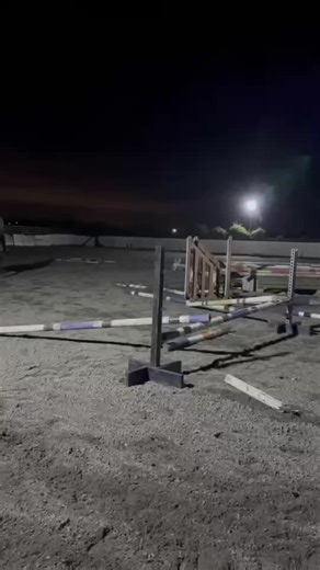 #star🐴⭐️ #sheissuchastar