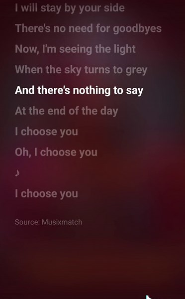 I Choose You Song Lyrics with Alessia Cara