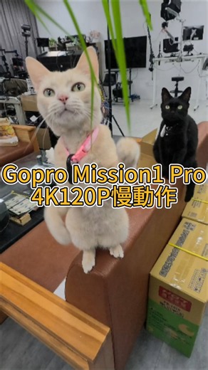 GoPro Mission1 Pro 4K120P慢動作#台南gopro專賣店#PQS自媒體軍火庫