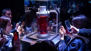 Beating mini heart and more: the highlights of Expo 2025