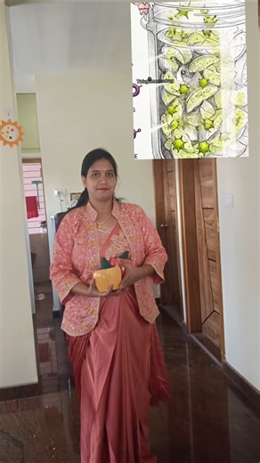 Capsicum model pickle jar🏺🫙