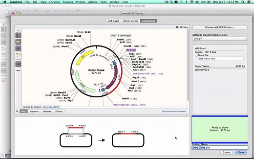 「Method」Gateway克隆 Gateway Cloning