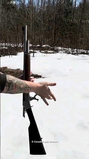 How M1887 shotgun works #facts
