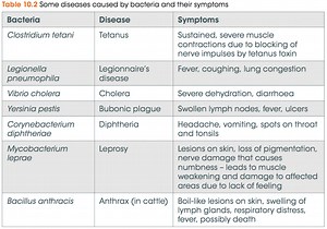 What is an Infectious Disease?
