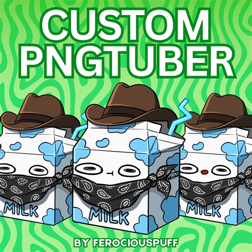 Modèle de tube PNG personnalisé | Modèle PNGTuber personnalisable pour le streaming | Twitch | Youtube | Discorde | Modèle VTuber - Etsy France
