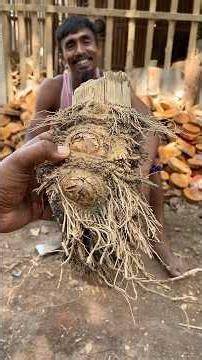 Turning Discarded Bamboo Roots into Beautiful Eco Bowls #shorts #bambooart #bamboo