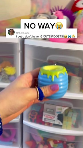 Cute Fidget Toy Collection Challenge