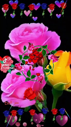 Vibrant Animated Roses with Heart Effects