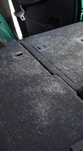 Before You Pay for Car Detailing, Watch This #Delomo #pethairremoval #tiktokshopholidayhaul #petparentmusthave #cleantok