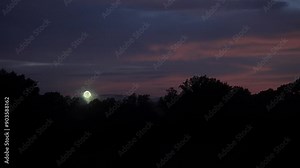 Sparkling bright ball from fireworks exploding in sky at dusk with forest tree silhouette in front