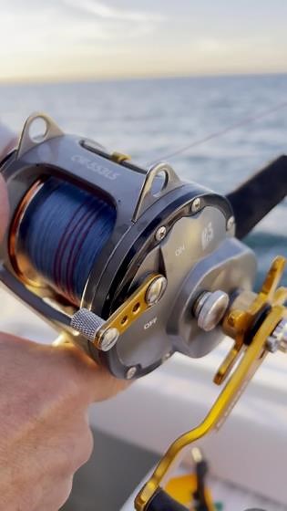 27LB Leadcore Fishing Line with Blood Run Fishing