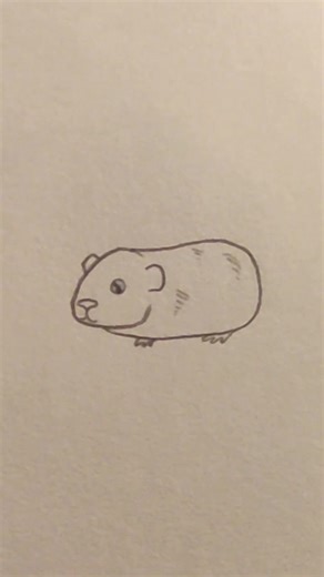 Tuto dessin d'un cochon d'Inde 🐹