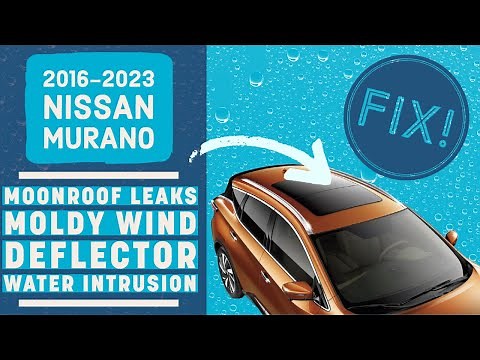 Nissan Murano Sunroof Leaking?! Follow This In-Depth Mechanic's Tutorial