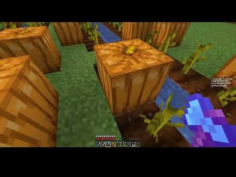 episode 29 Minecraft: collect everything!