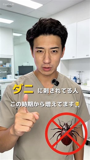 ダニに刺されている人増えています、ダニに刺された時の注意点を皮膚科医が説明