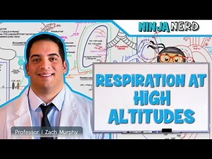 Respiratory | Respiration at High Altitudes