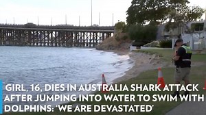 16-Year-Old Girl Killed in Shark Attack on Australia's West Coast