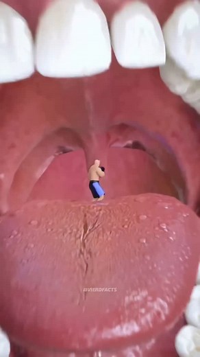 4.4M views · 30K reactions | What Is The Purpose Of Your Uvula? #science #sciencefacts #space #viral | Vierd Facts | Facebook
