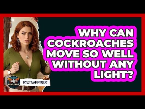 Why Can Cockroaches Move So Well Without Any Light? - Insects and Invaders