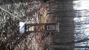 Clear Tek Shield Ballistic Test