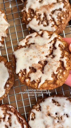 Sally McKenney on Instagram: "Comment SEND and we can automatically DM the recipe to you. It is also linked in my bio @sallysbakeblog and on sallysbakingaddiction.com! ⠀⠀⠀⠀⠀⠀⠀⠀⠀ I’ve created hundreds of cookie recipes. You know this. 🍪 And I say with 100% confidence that these Iced Gingerbread Oatmeal Cookies are the absolute # 1, top-ranking, champion, HEAD OF THE PACK. 💥🏆💥 Have you made them before? ⠀⠀⠀⠀⠀⠀⠀⠀⠀ https://sallysbakingaddiction.com/iced-gingerbread-oa